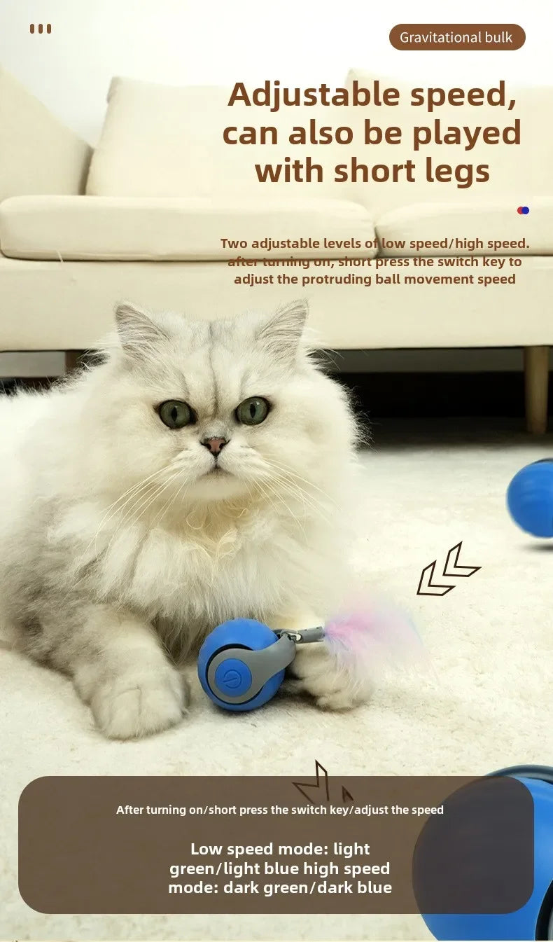 NEW Smart Interactive Speedy Tail 2.0 Cat Toy