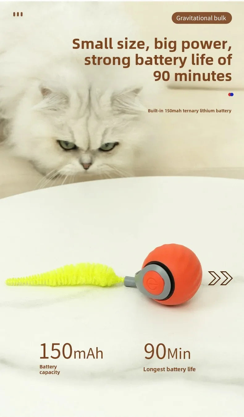 NEW Smart Interactive Speedy Tail 2.0 Cat Toy