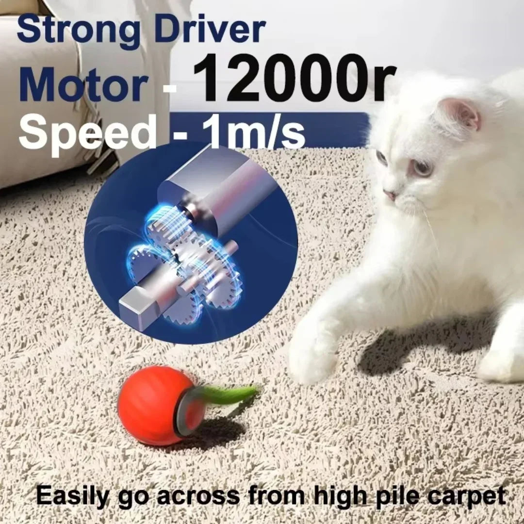 NEW Smart Interactive Speedy Tail 2.0 Cat Toy